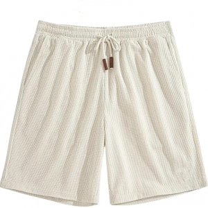 Men's Casual Slim Fit Shorts